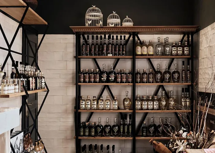 Continental 3* Опатия